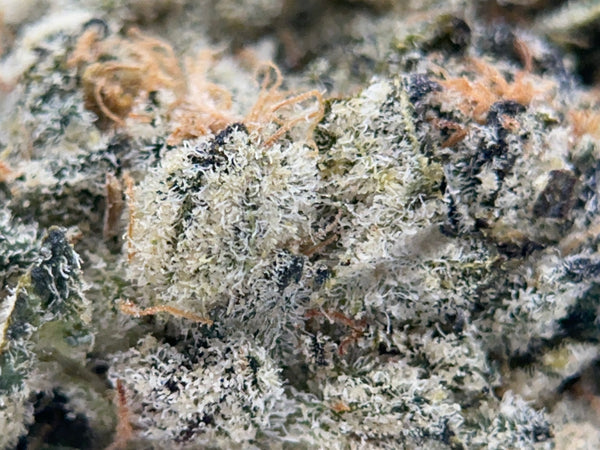 Small Batch, Chimera, 3.5G